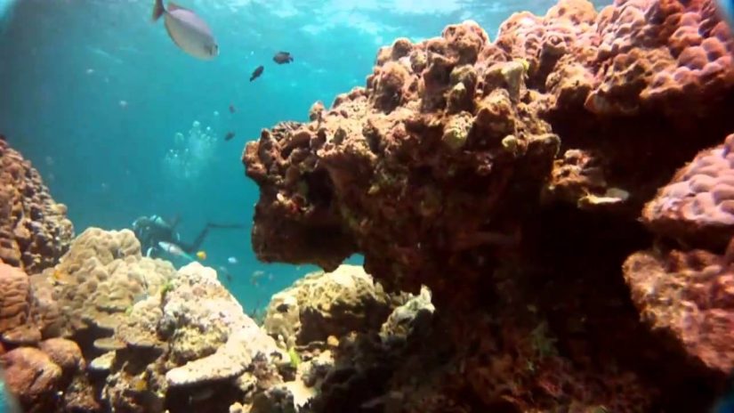 Raya Yai, Thailand Dive 2 | aquasport.tv