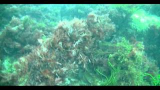 Wreck of the Loch Vennachar, Kangaroo Island, South Australia