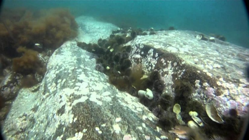 Norway 2011 The outward journey and the first day | aquasport.tv