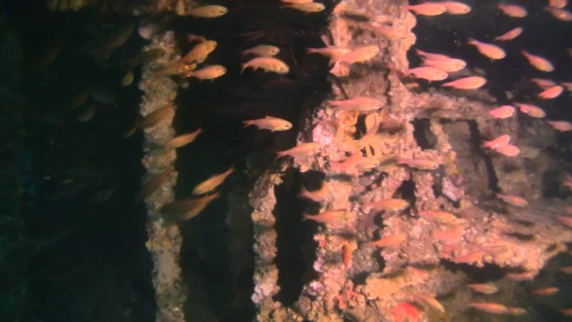 EX HMAS PERTH; HOBART; BRISBANE  - RAN DDG's | aquasport.tv