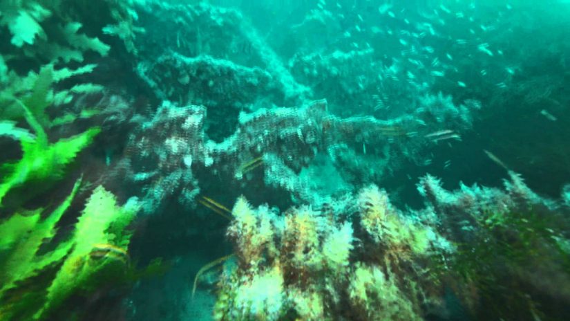 Wreck of the Clan Ranald , Yorke Peninsula, South Australia | aquasport.tv