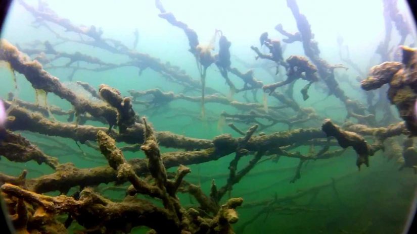 Ahvenlampi Sukellusharjoitus Joutseno | aquasport.tv