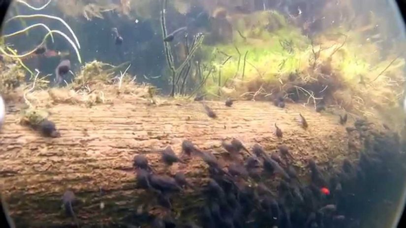 Diving into the salt mine | aquasport.tv