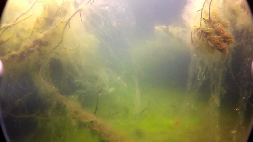 Cloth pond | aquasport.tv