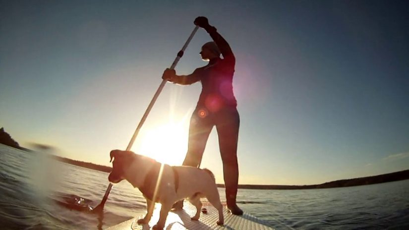 F-one Matira SUP with Jack Russell @ Sääksjärvi | aquasport.tv