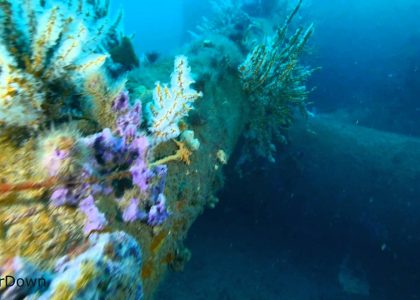 Port Stanvac Oil Terminal | aquasport.tv