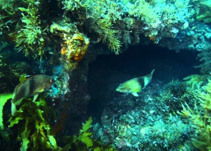 Wreck of the Lady Kinnaird | aquasport.tv