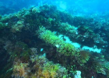 Wreck of the SS Euro | aquasport.tv