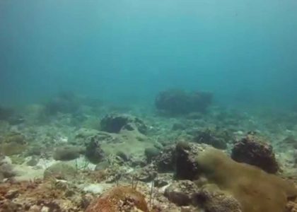 Just normal diving day at Phi Phi Islands | aquasport.tv