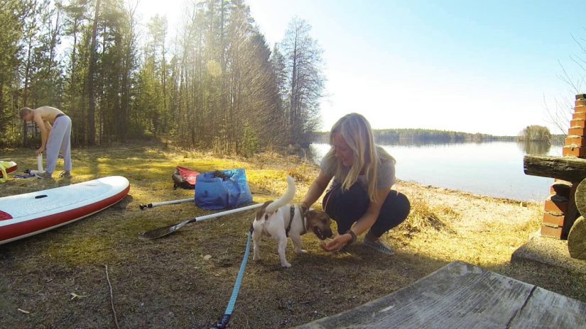 20.4.2014 Sääksjärvi. SUP with My PUP - Jack Russell :) | aquasport.tv