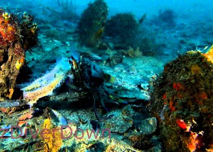 Wallaroo Jetty | aquasport.tv