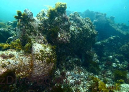 Wreck of the SS Investigator | aquasport.tv