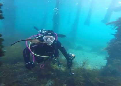 PT Weedy | aquasport.tv