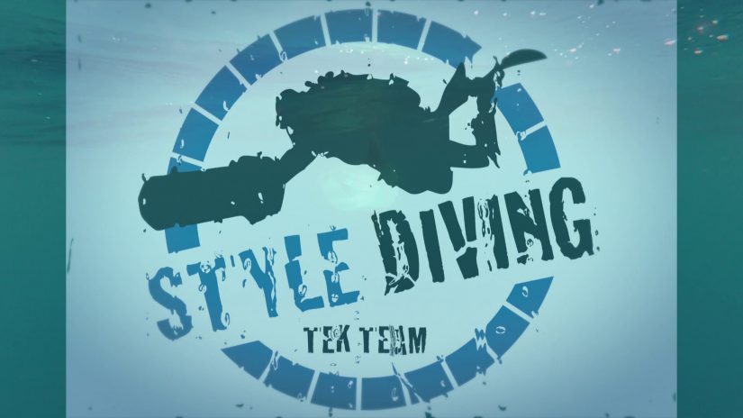 Mola Mola Style Diving