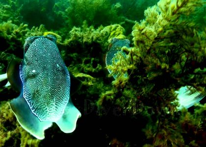 Postcard To You | aquasport.tv