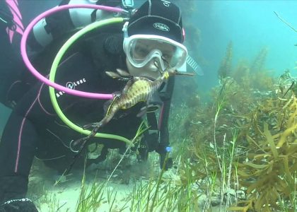 PT Blog | aquasport.tv