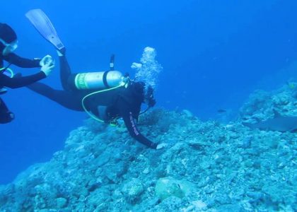 Two Girls and a Shark Scuba Australia | aquasport.tv