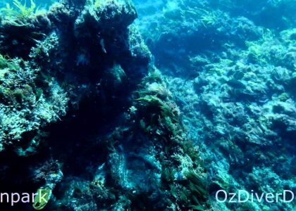 Where The Lady Parted | aquasport.tv