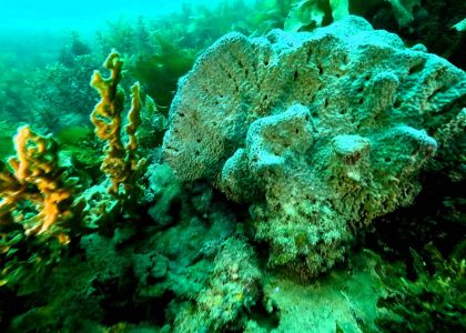 Aldinga Drop-Off | aquasport.tv