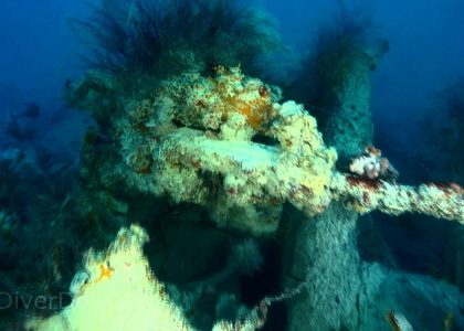 Wreck of the Estelle Star | aquasport.tv