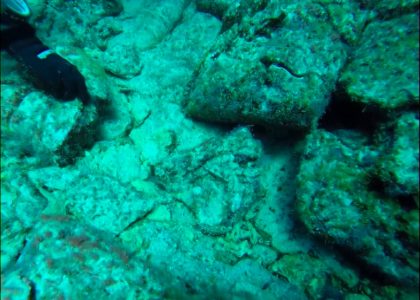 Tenerife Diving 2014 Sa Caleta