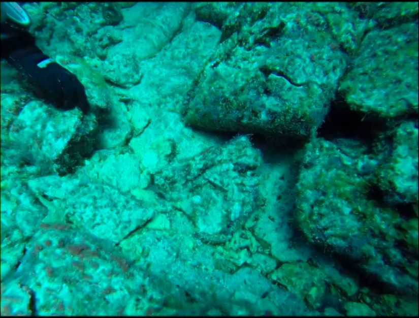Tenerife Diving 2014 Sa Caleta