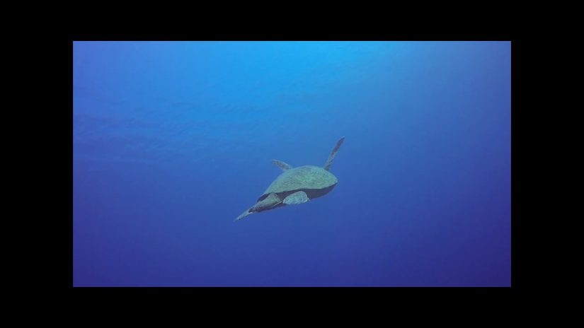filippinerne pandan island day1.film .movie