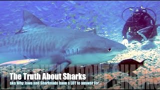 The Truth About Sharks (aka Why Jaws and Sharknado have a LOT to answer for)