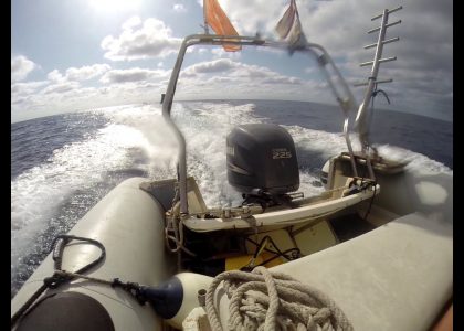 Diving Brothers Naranjito