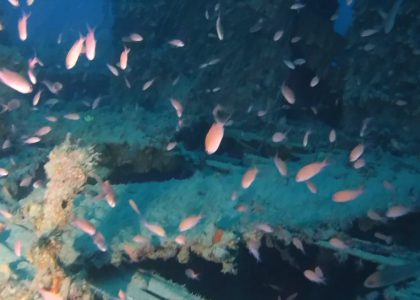 UJ2216 KT Sestri Levante