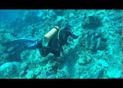 Diving in the great barrier reef | aquasport.tv
