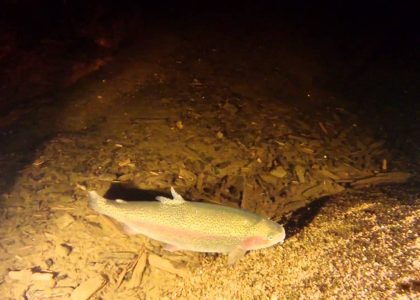 Dive to the Turbine | aquasport.tv