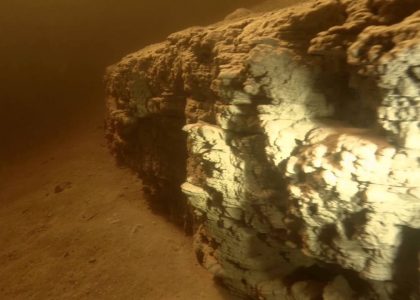 Crawfish Hotel | aquasport.tv