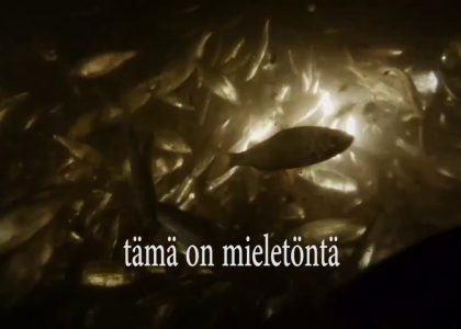 Roach - Rutilus rutilus - at Kutujuhlat | aquasport.tv