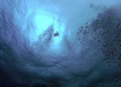 Stunning Fauna in Belize | aquasport.tv