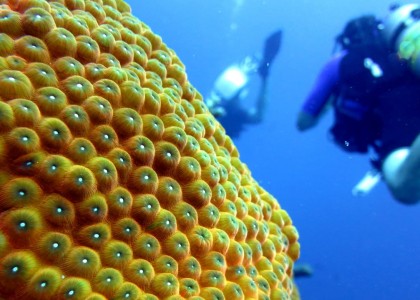 Bonaire Januar 2013 | aquasport.tv