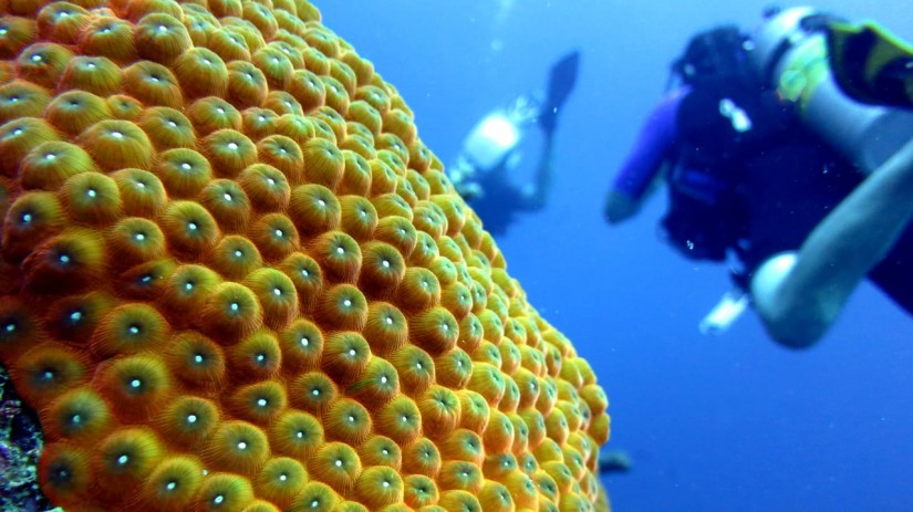 Bonaire Januar 2013 | aquasport.tv