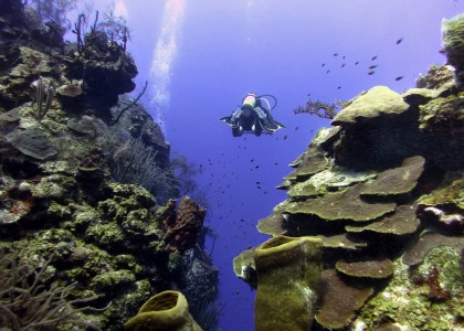 Tauchen in Belize | aquasport.tv