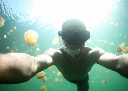 Jellyfish Lake - jede Menge Quallen | aquasport.tv