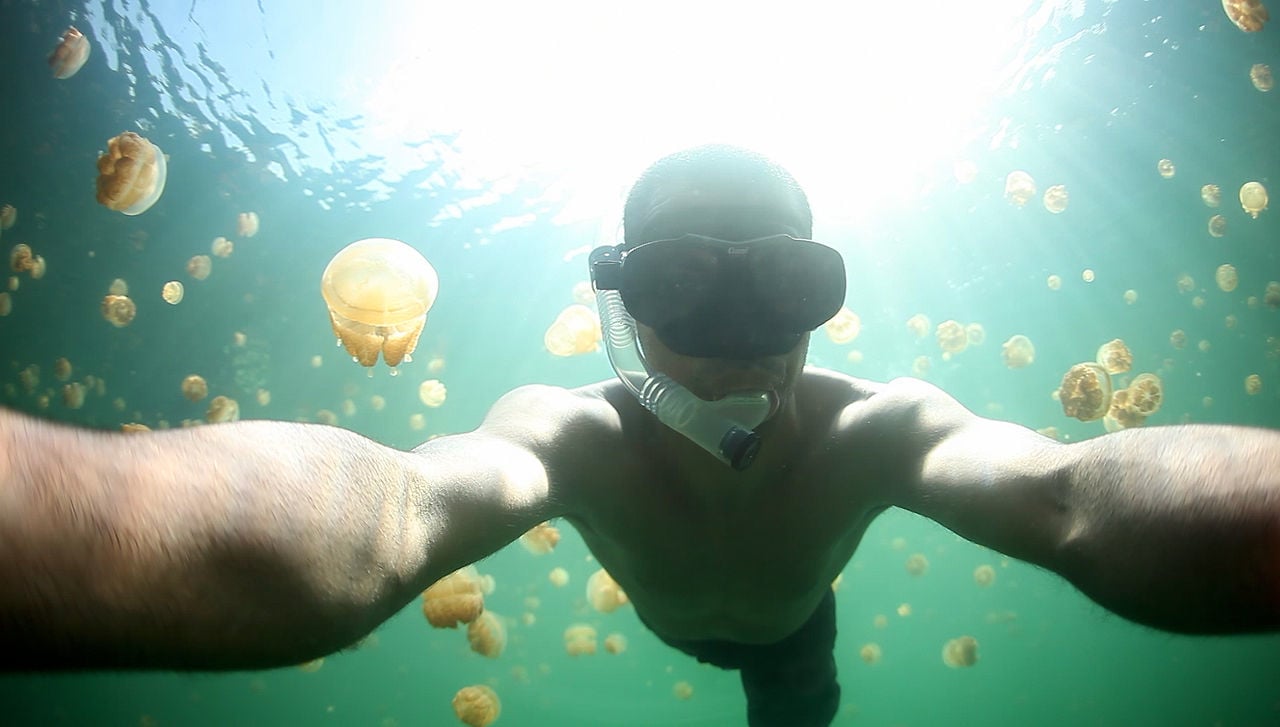 Jellyfish Lake - jede Menge Quallen | aquasport.tv