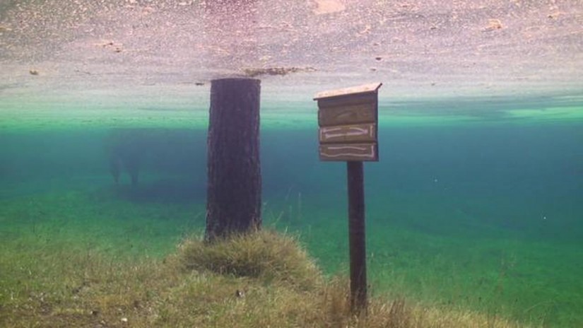 Diving at home | aquasport.tv