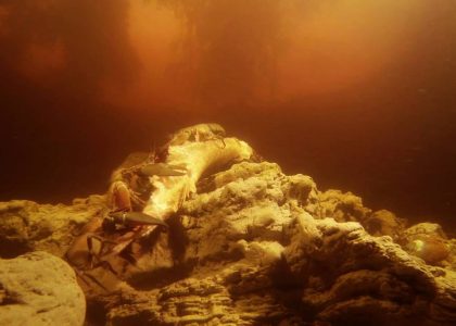 Crab's snack | aquasport.tv