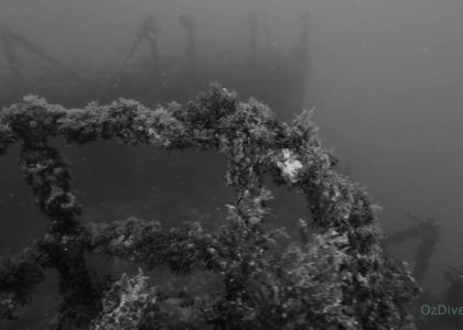 Hobart - A Story | aquasport.tv