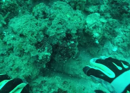 Advanced Class Aaron Ethan Robert Marketa | aquasport.tv