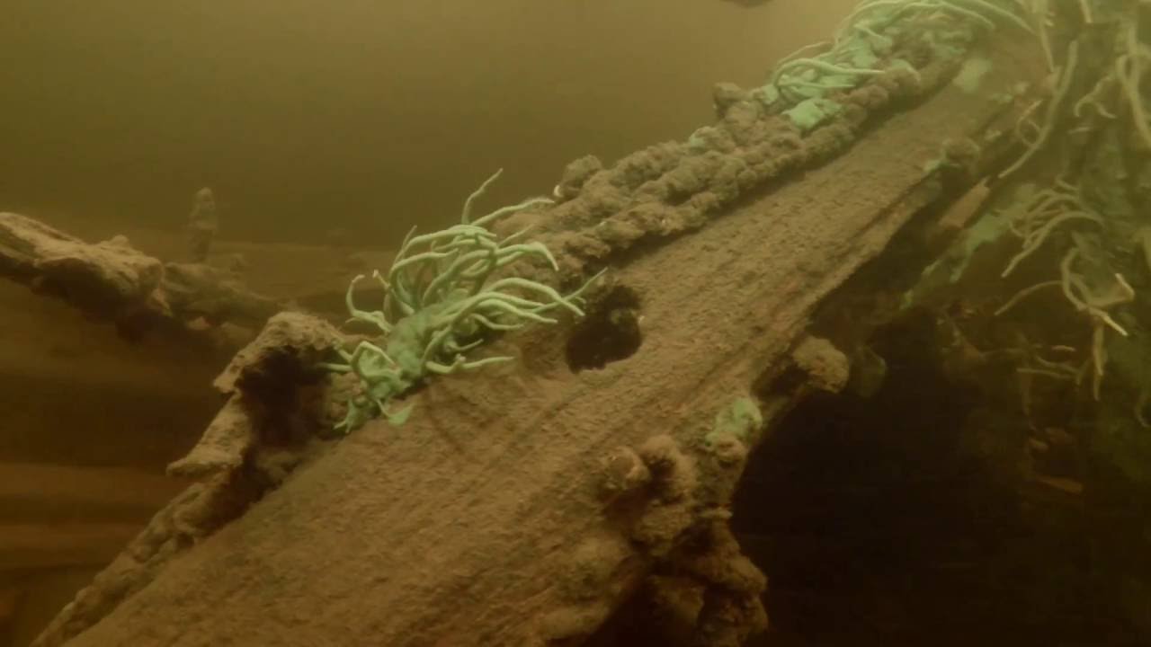 Niskalammen Pond wrecks. Wreck number 1 | aquasport.tv