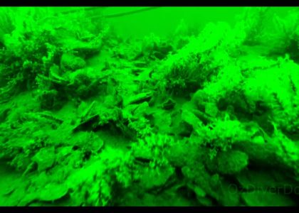 Eastern Shoal Drop | aquasport.tv