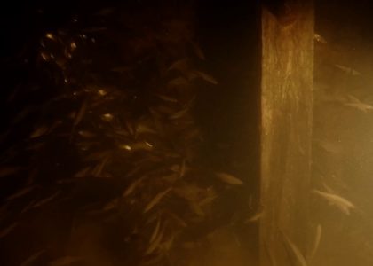 särkien may day celebrations | aquasport.tv