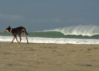 Puerto Escondido Challenge 2017 - Kai Lenny - 31 de agosto de 2017 | aquasport.tv