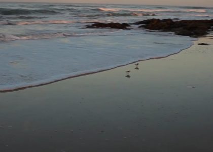 Coaching at the sea of 2018: DREAM & DO | aquasport.tv