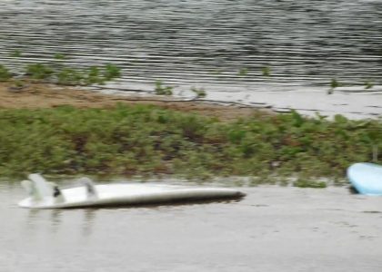 Long life Boronesia | aquasport.tv